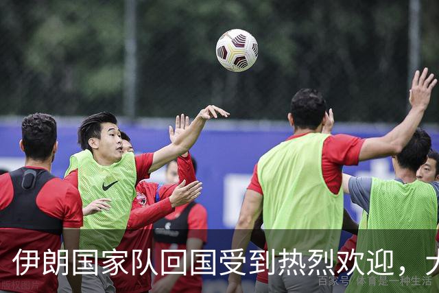伊朗国家队回国受到热烈欢迎，大批球迷接机